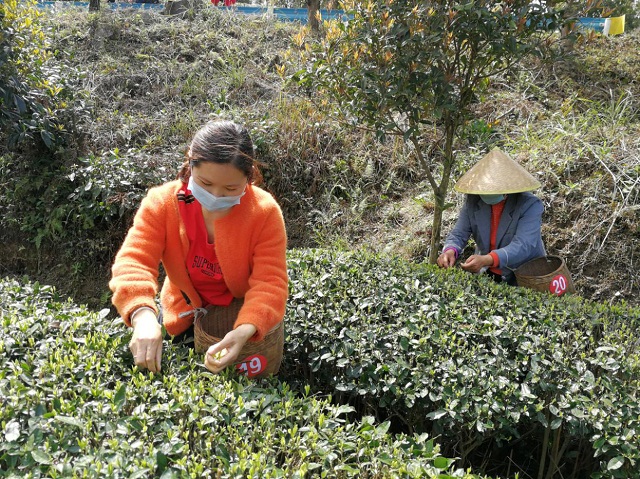图片2.jpg