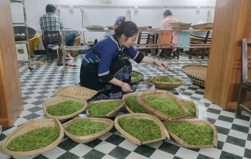 1713318897523444.jpg QQ截图20240417095745.jpg